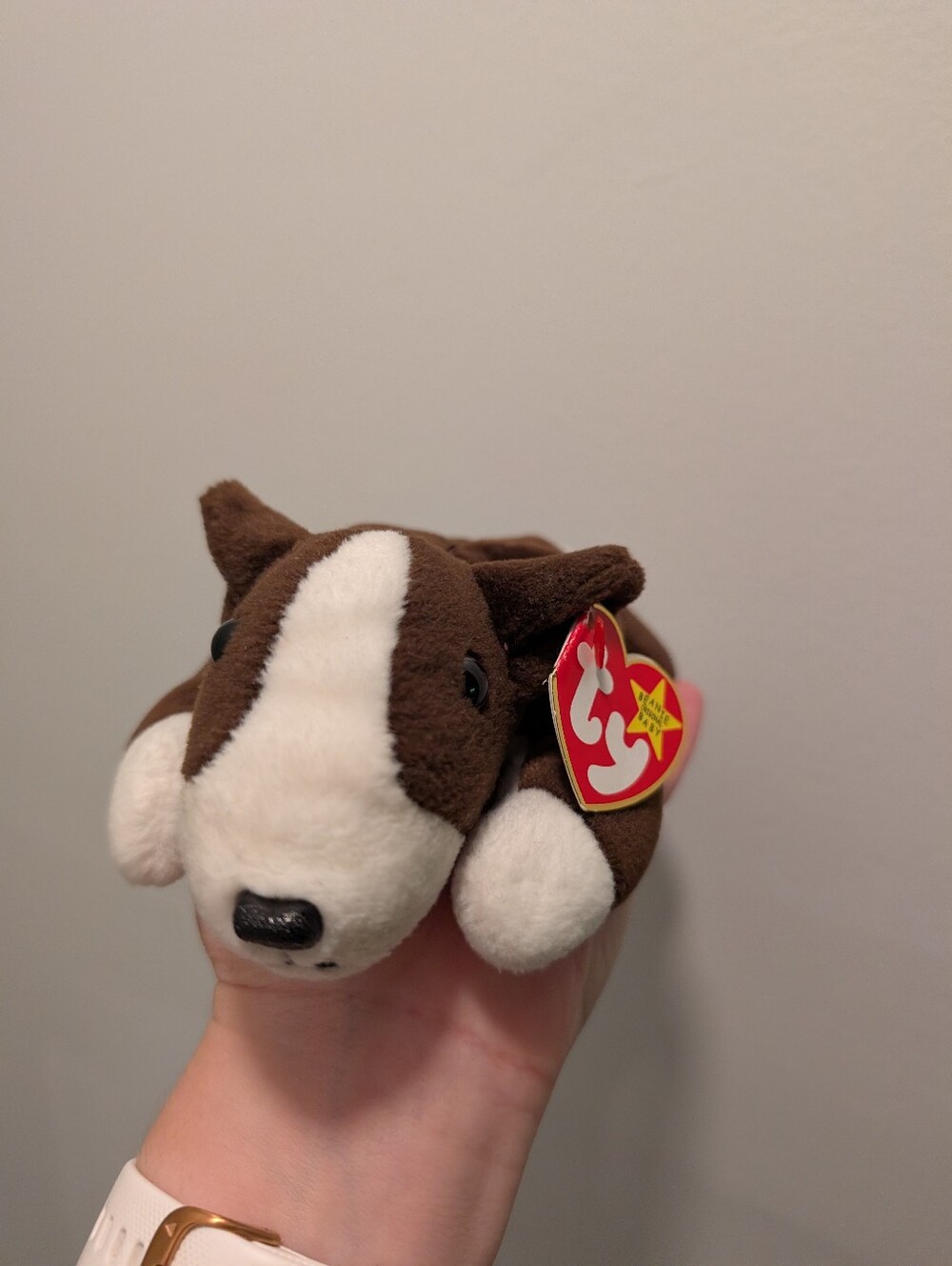 "Bruno" Ty Beanie Baby Bull terrier Brown and White Plush Puppy